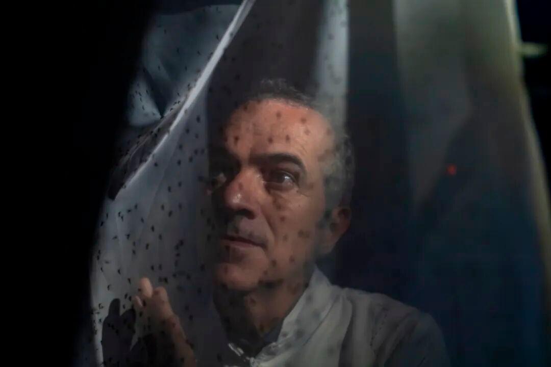 DeepSeek梁文锋、中科院深海所杜梦然，入选Nature“2025年度十大科学人物”(图7)